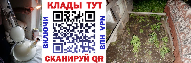 МЕФ Рубцовск