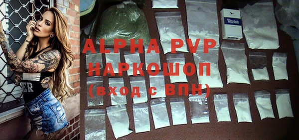 PSILOCYBIN Новокубанск