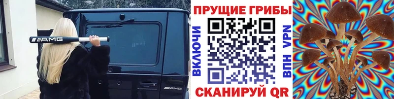 Галлюциногенные грибы GOLDEN TEACHER  Рубцовск 